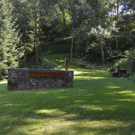 Tatil Evi Gluehalm Willingen (Upland)