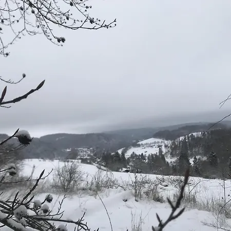 Gluehalm Tatil Evi Willingen (Upland)
