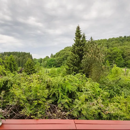 Dom wakacyjny Gluehalm Willingen (Upland)