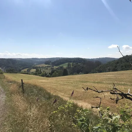 Vakantiehuis Gluehalm Willingen (Upland)