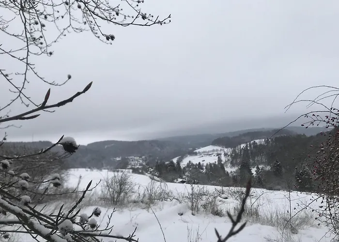 Gluehalm 度假居 维林根