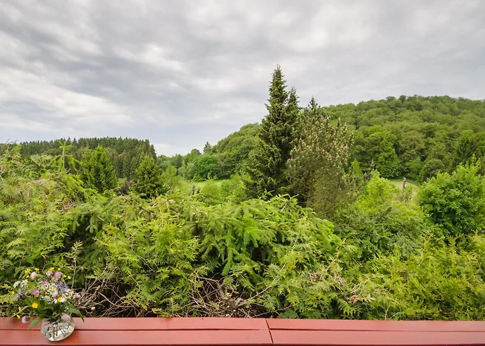 度假居 Gluehalm 维林根